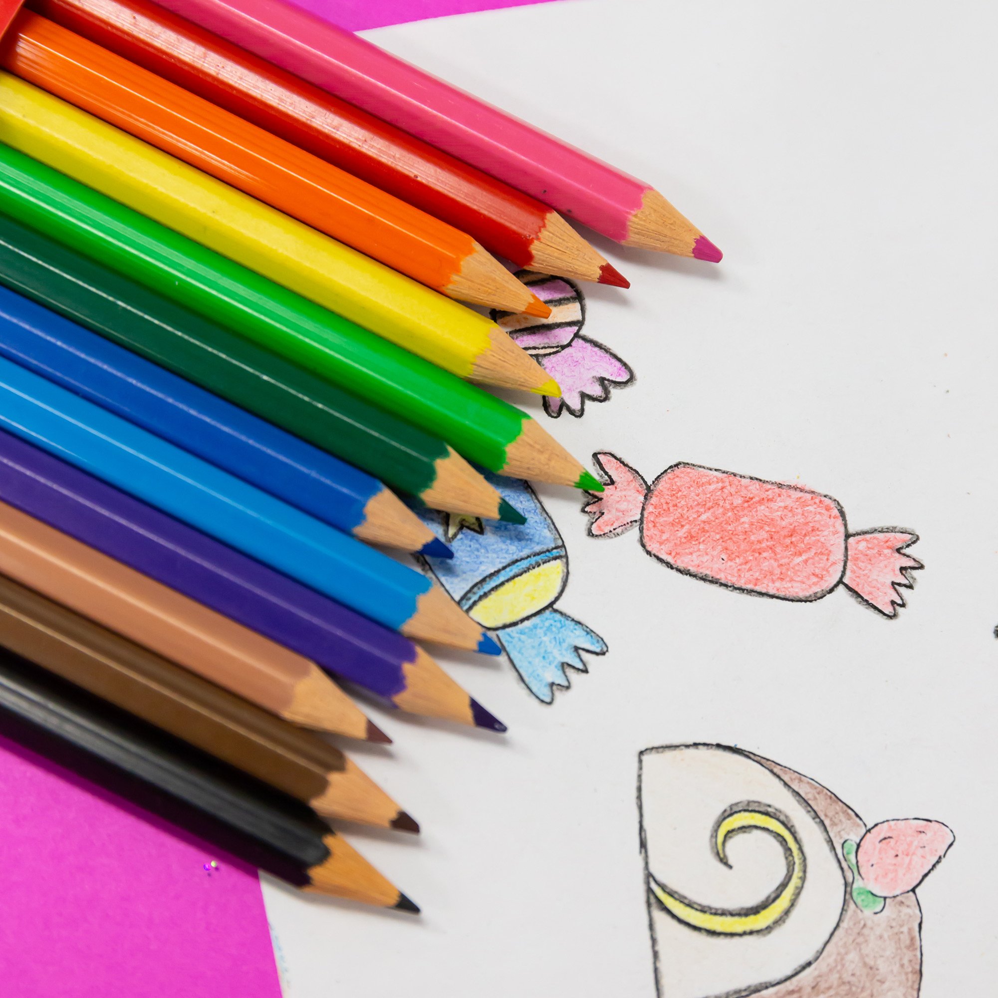 12 Color Pencil - Crown Office Supplies